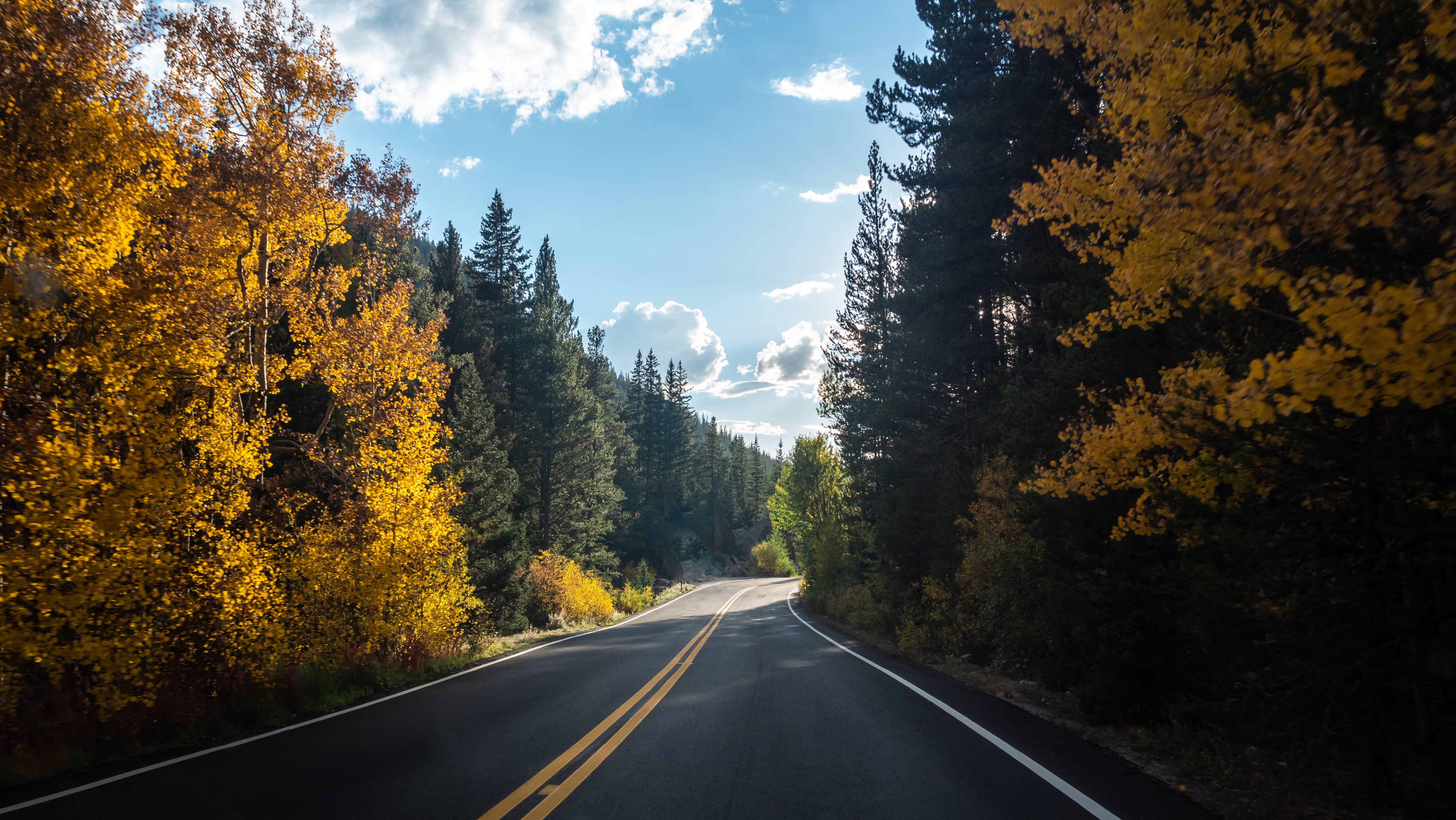 4K Forest Road Hd Photography Wallpapers