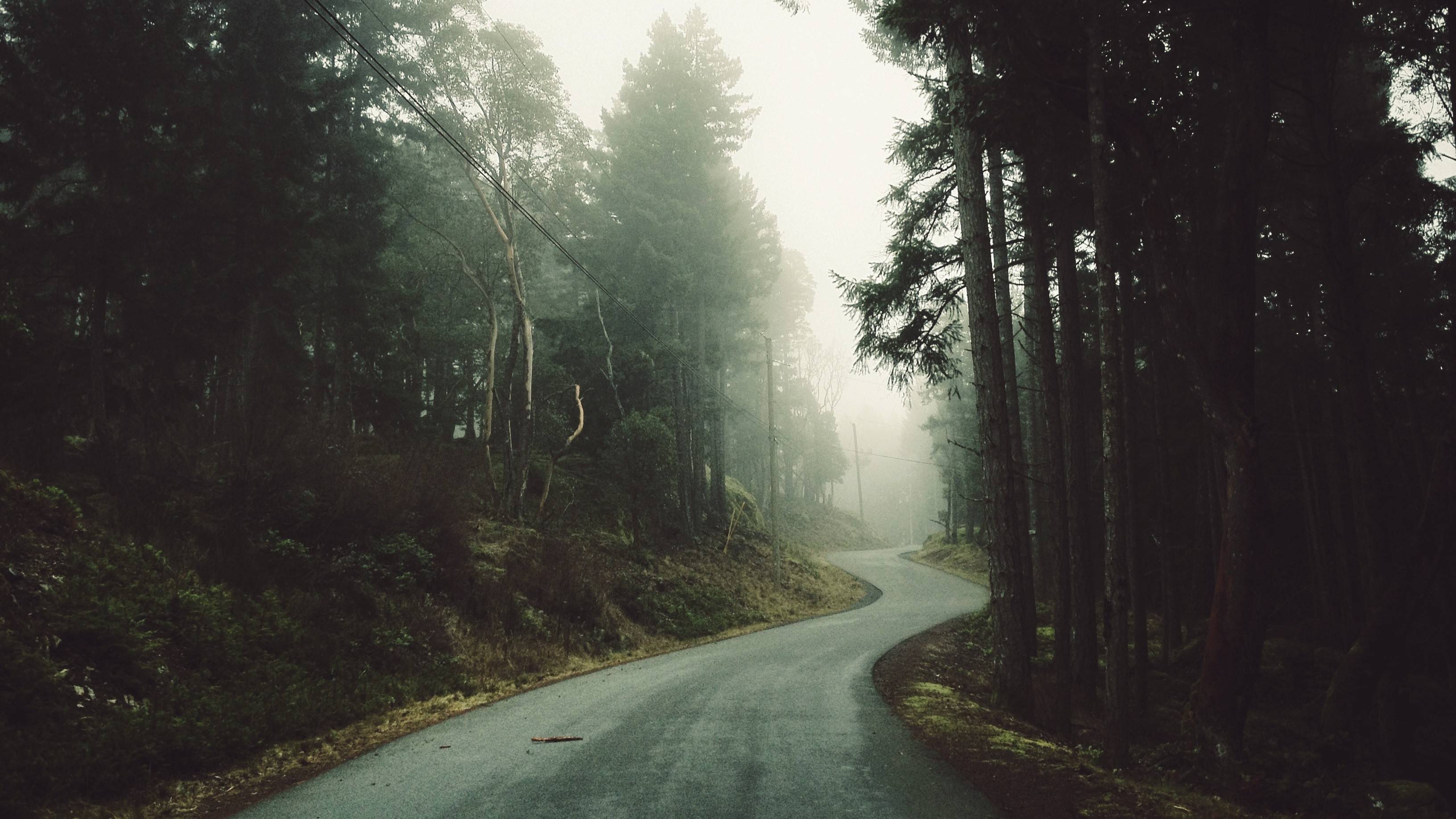 4K Forest Road Hd Photography Wallpapers