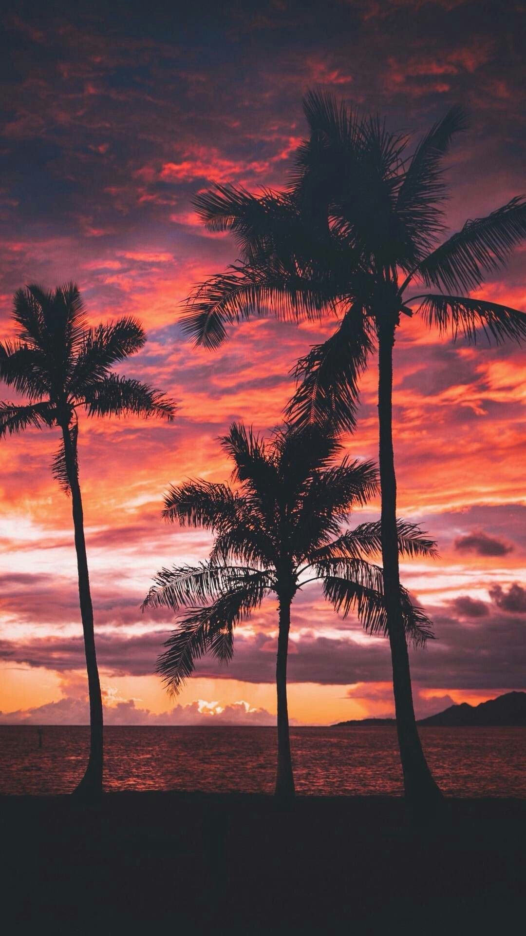 4K Summer Sunset Wallpapers