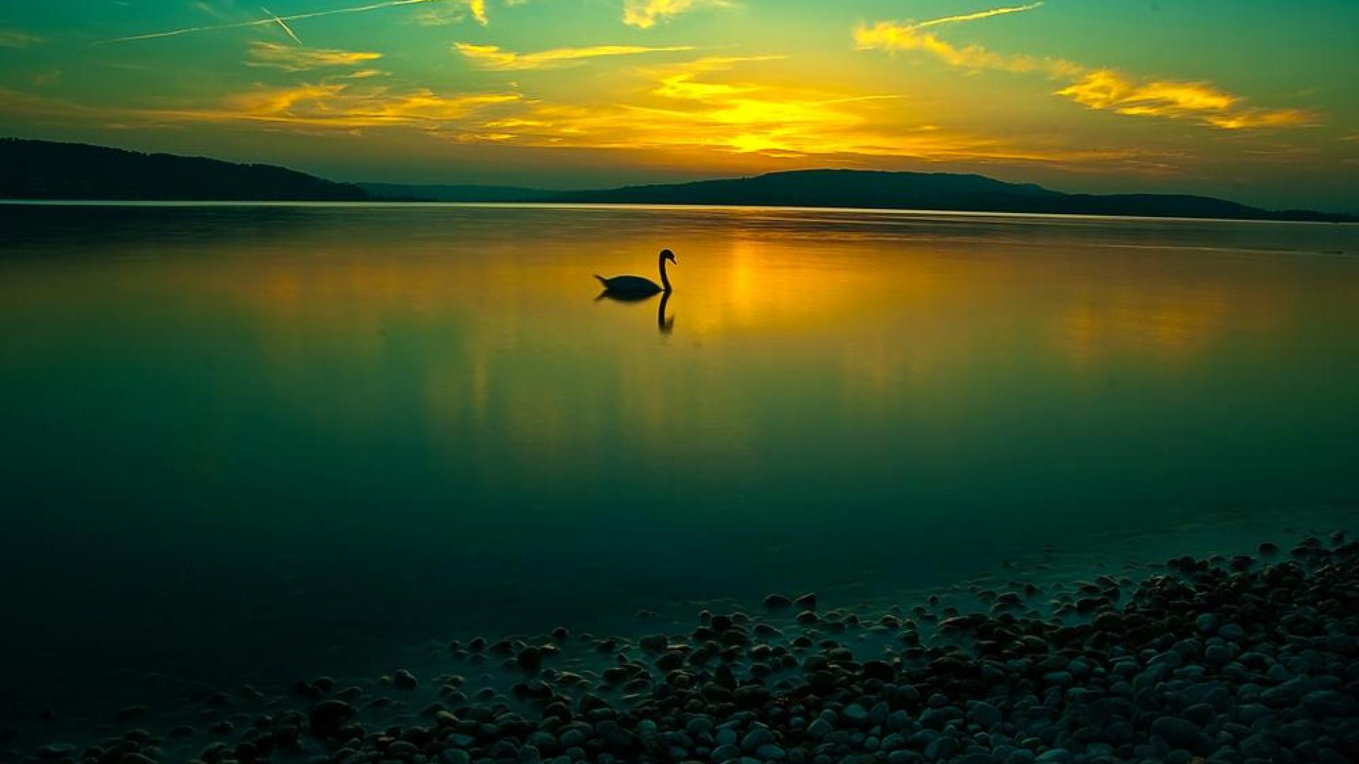 A Calm Lake At Sunset Wallpapers