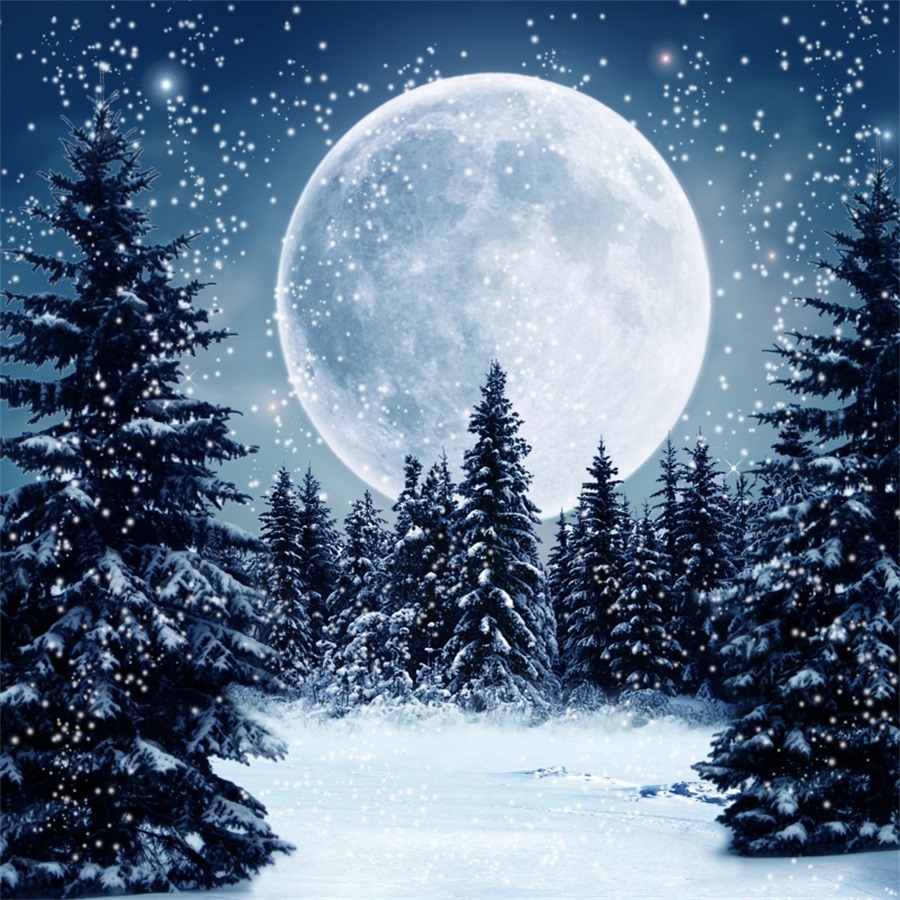 A Dreamy Christmas Night Wallpapers