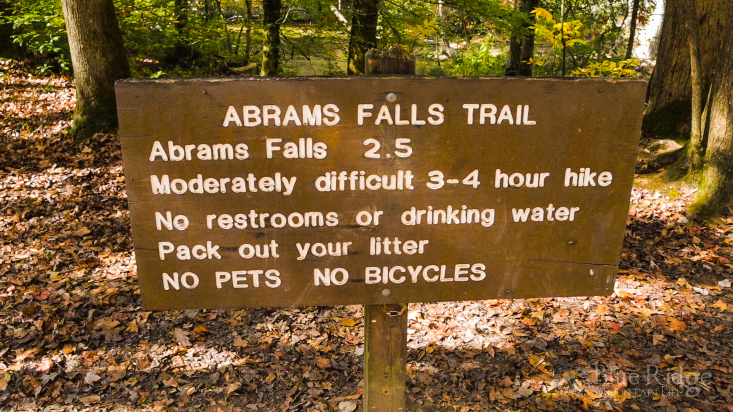 Abrams Falls Wallpapers