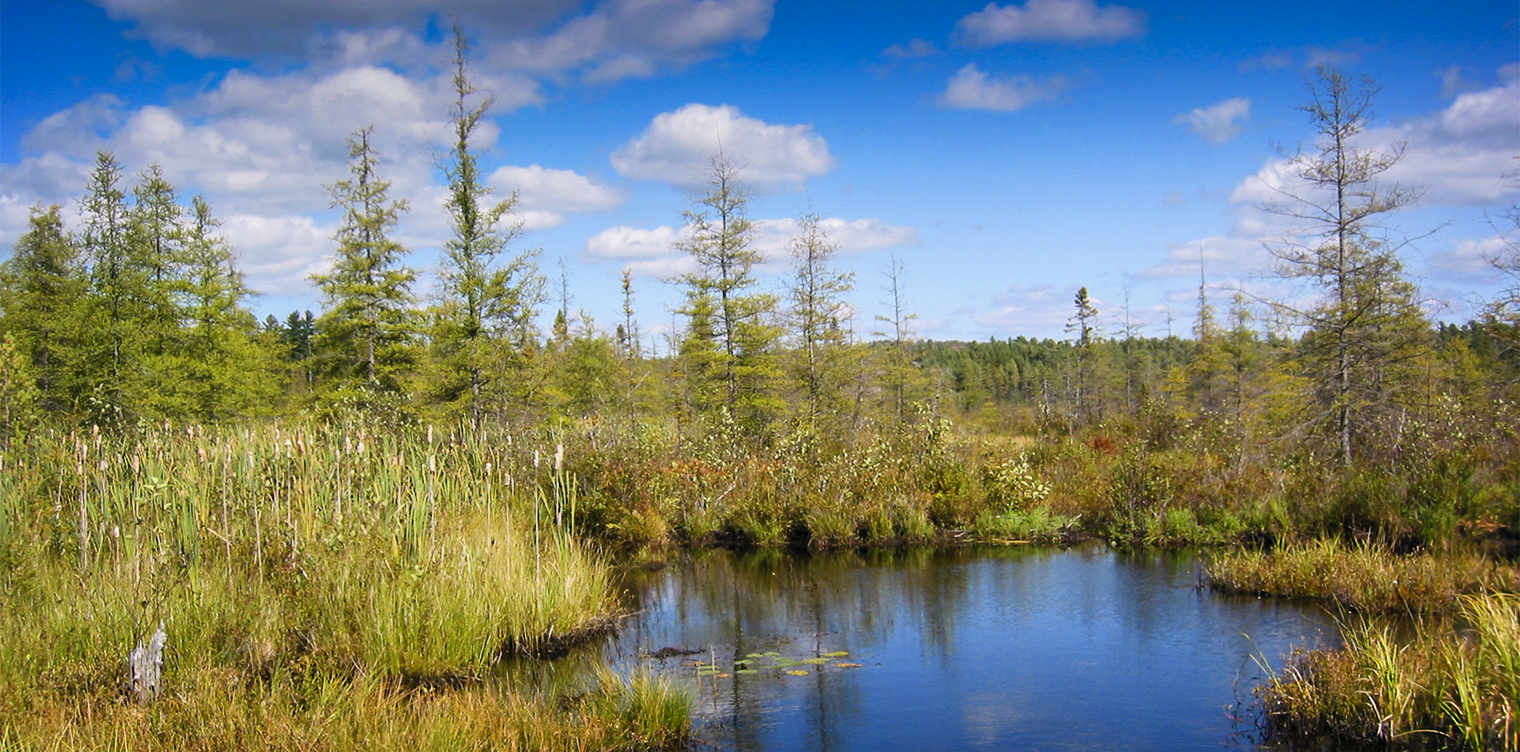 Adirondack Mountains River Clouds Trees Wallpapers