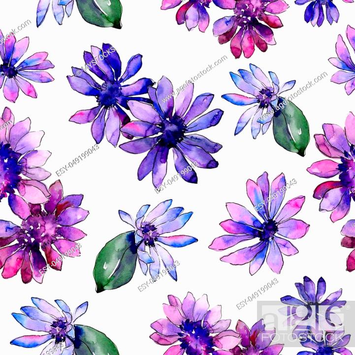 African Daisy Wallpapers