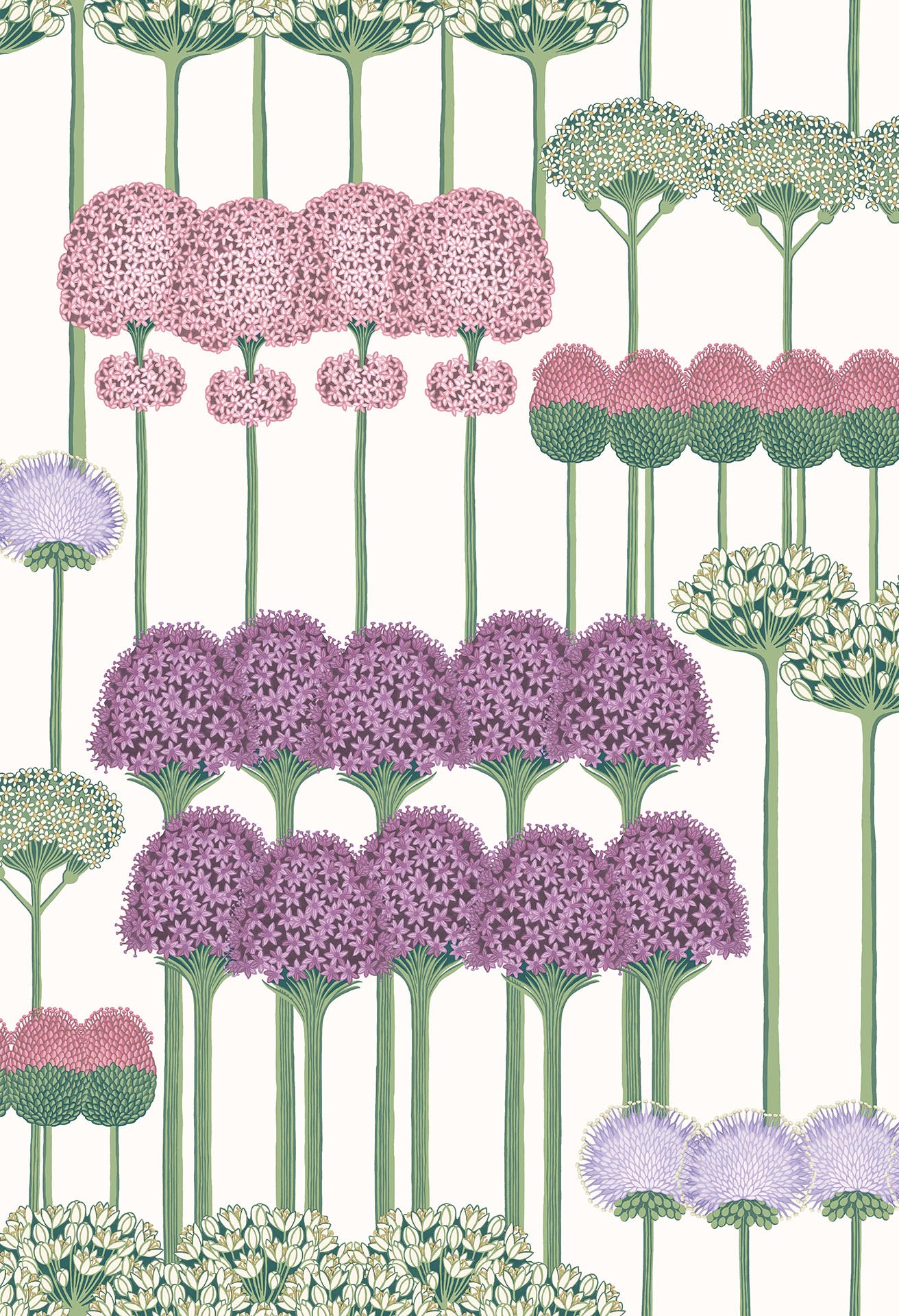 Allium Wallpapers