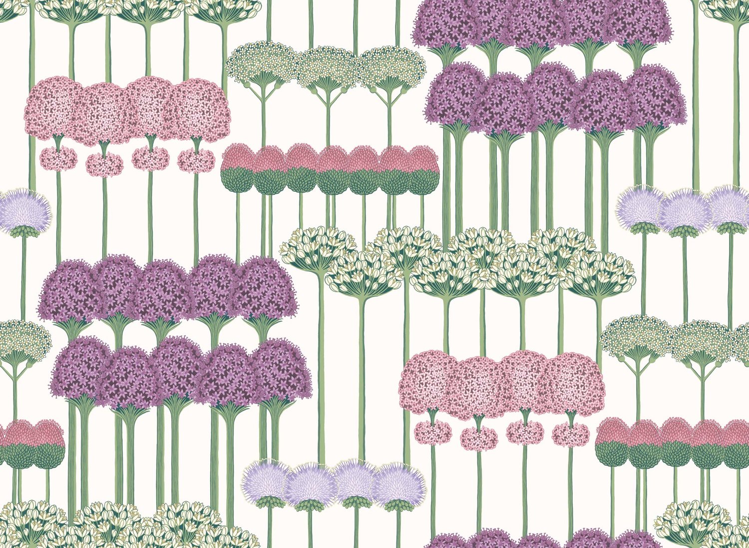 Allium Wallpapers
