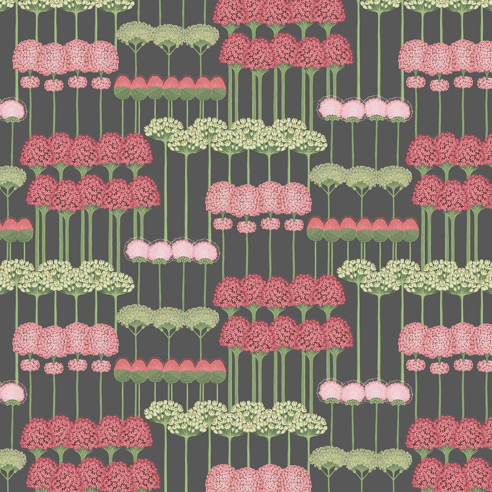 Allium Wallpapers