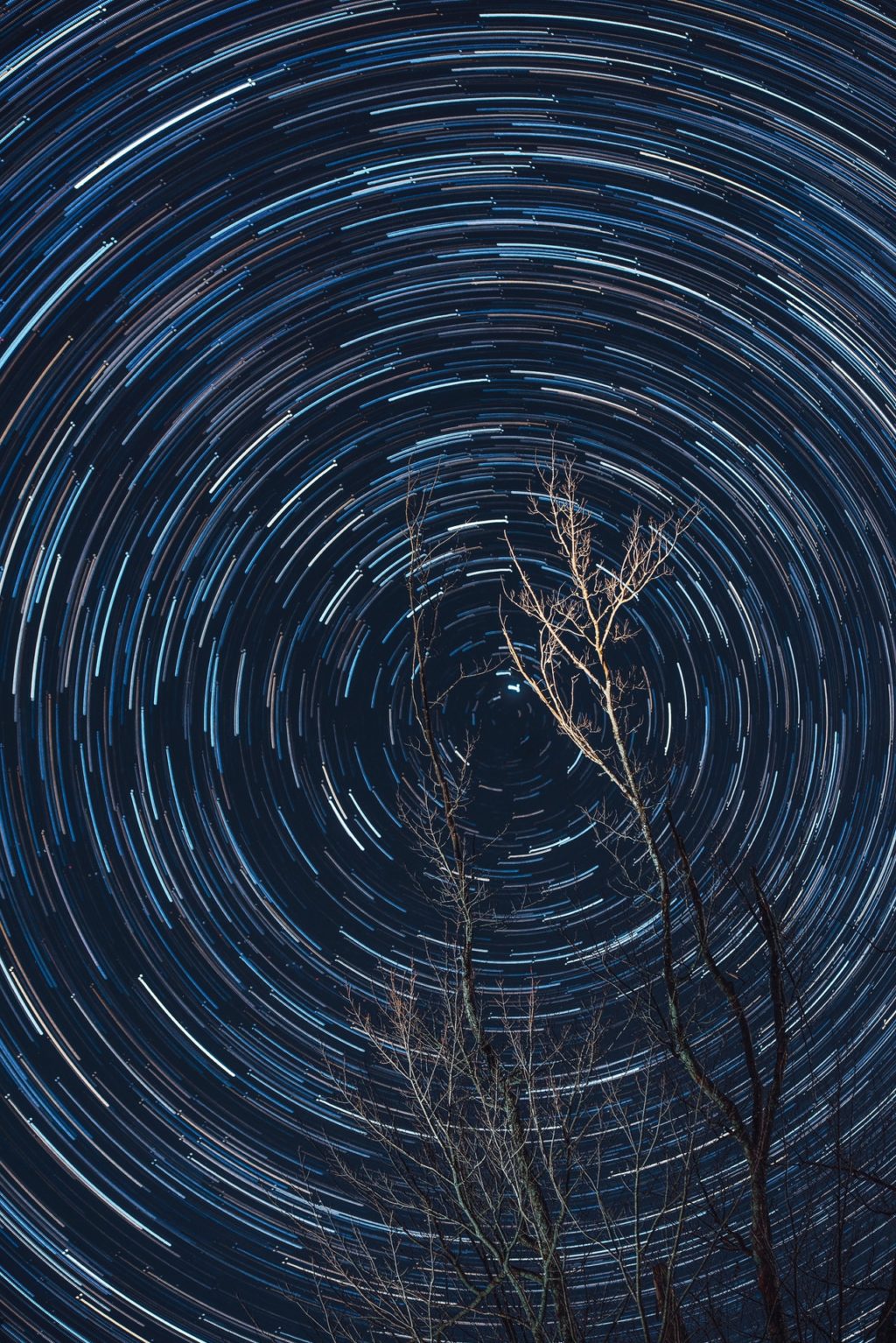 Alone Staring At Star Trail Wallpapers