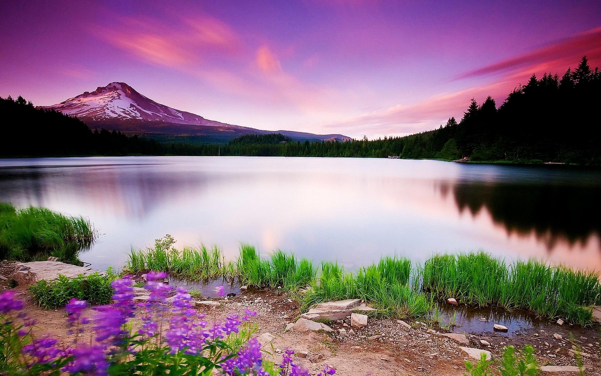 Amazing Fantasy Landscape Lake Wallpapers