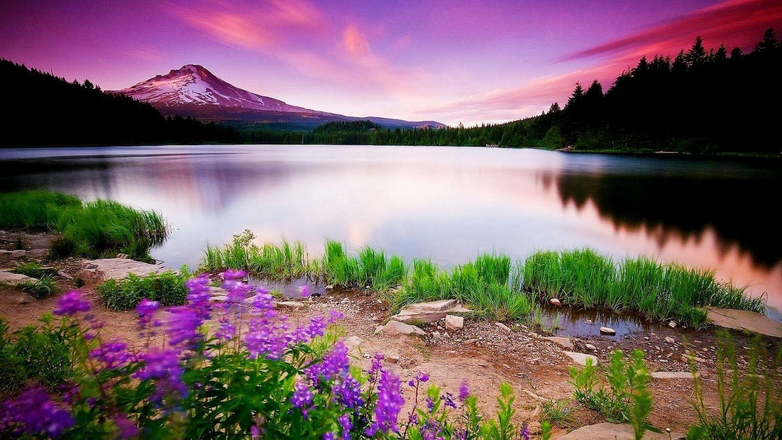 Amazing Landscape Photography 2021 Wallpapers