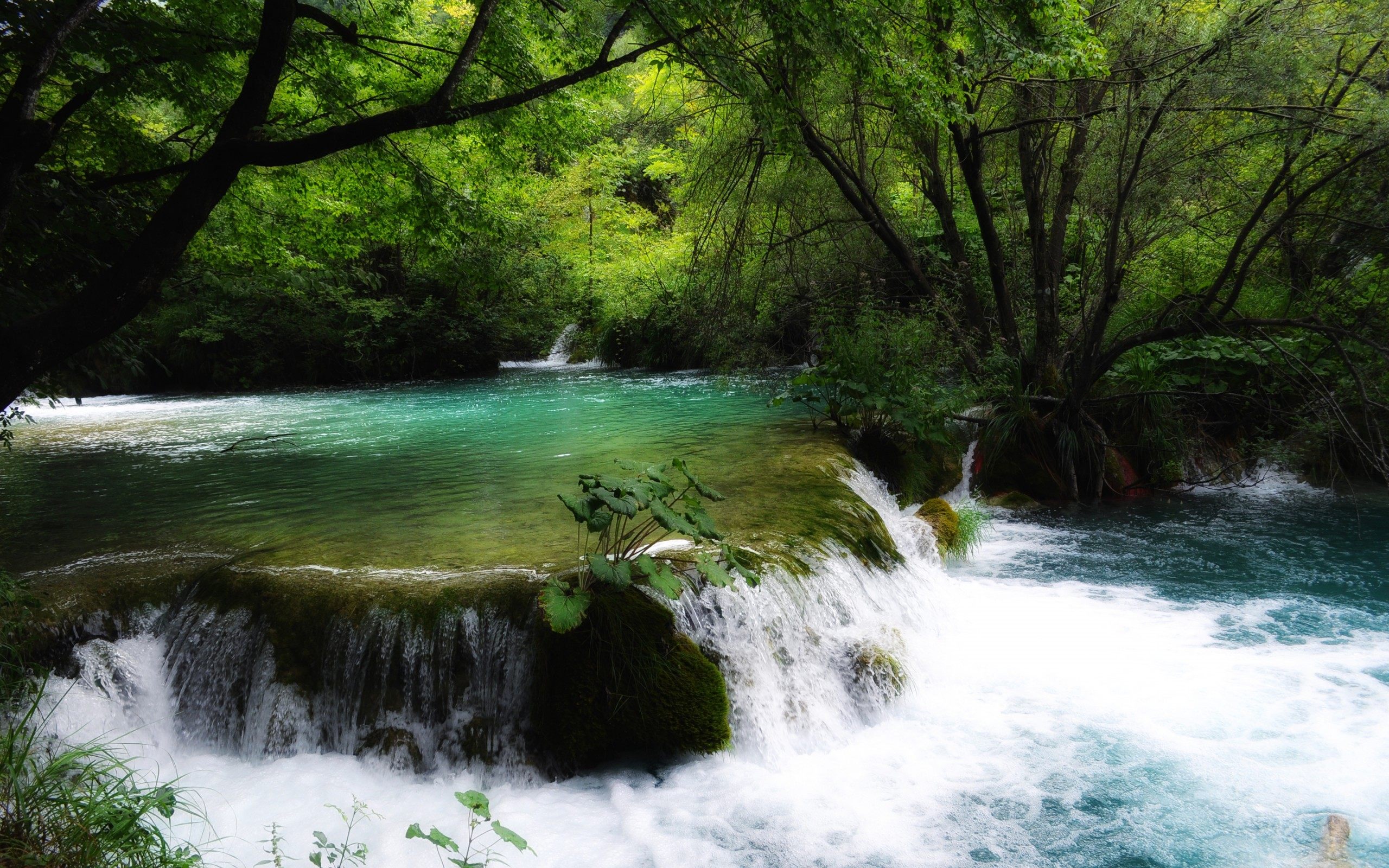 Amazing River Photography Hd Landscape Wallpapers