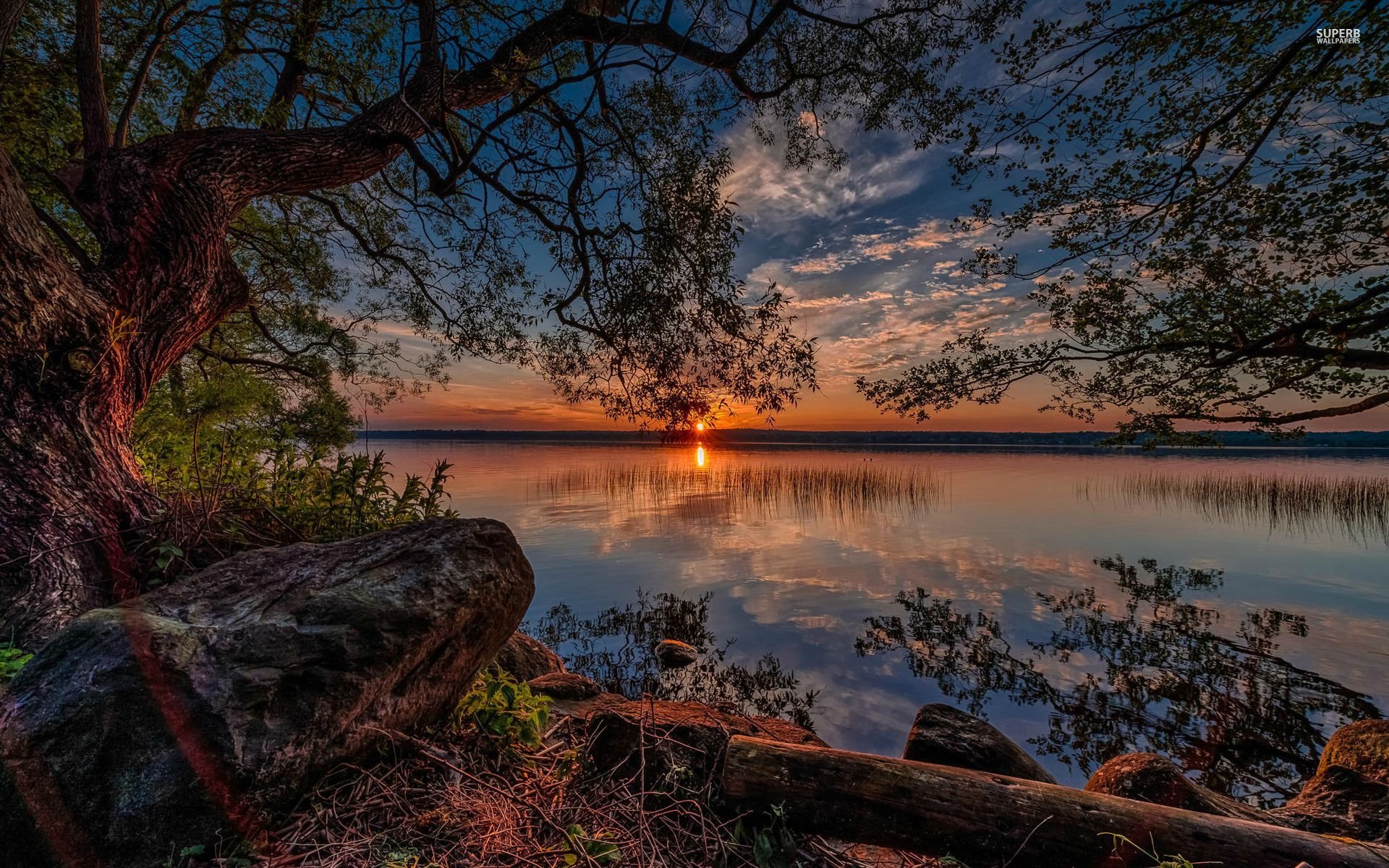 Amazing Sunset Over Lake 8K Wallpapers