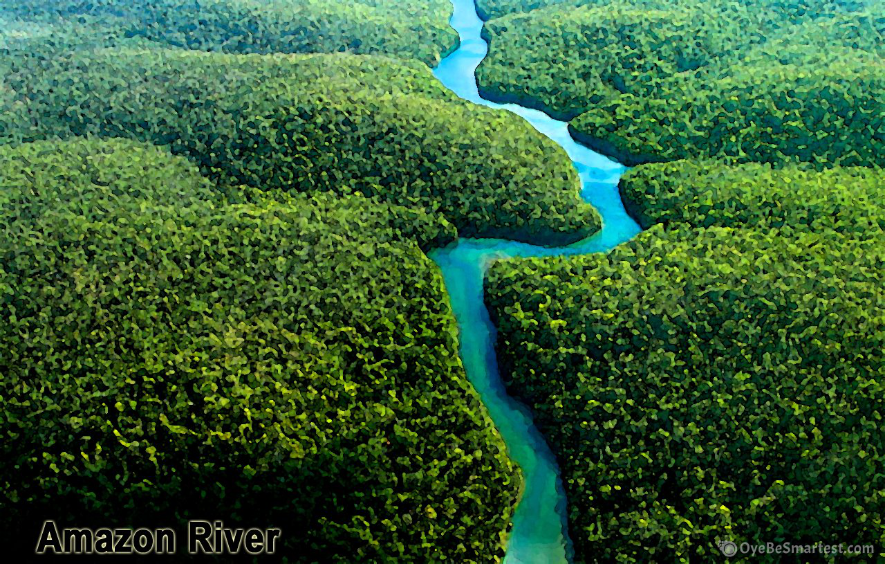 Amazon River Wallpapers