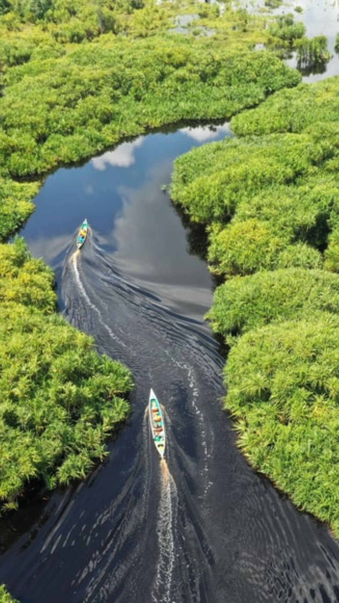 Amazon River Wallpapers