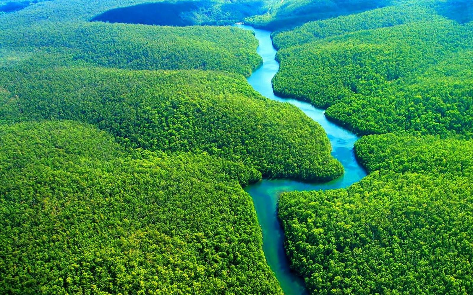 Amazon River Wallpapers