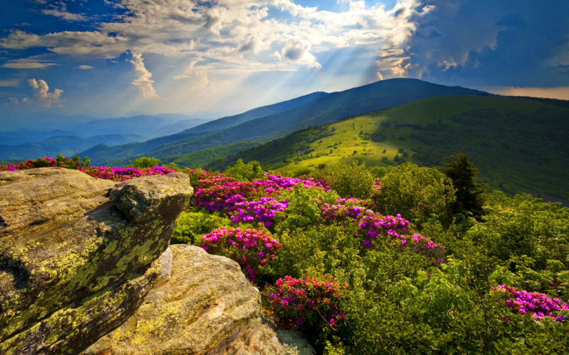 Appalachian Mountains Wallpapers