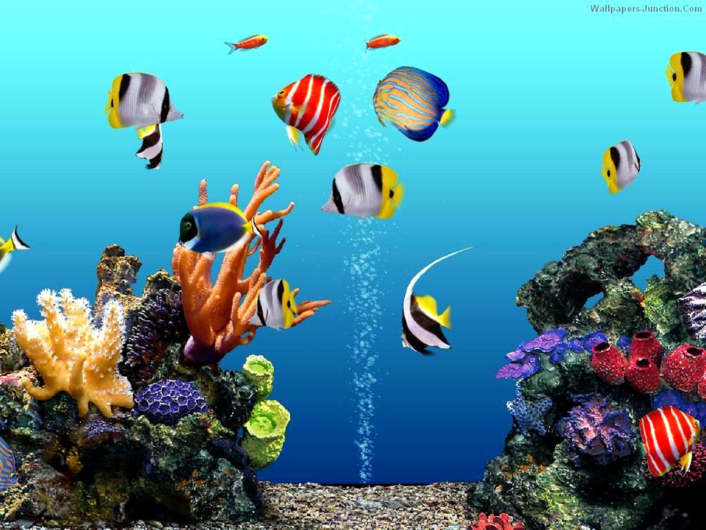 Aquarium Wallpapers