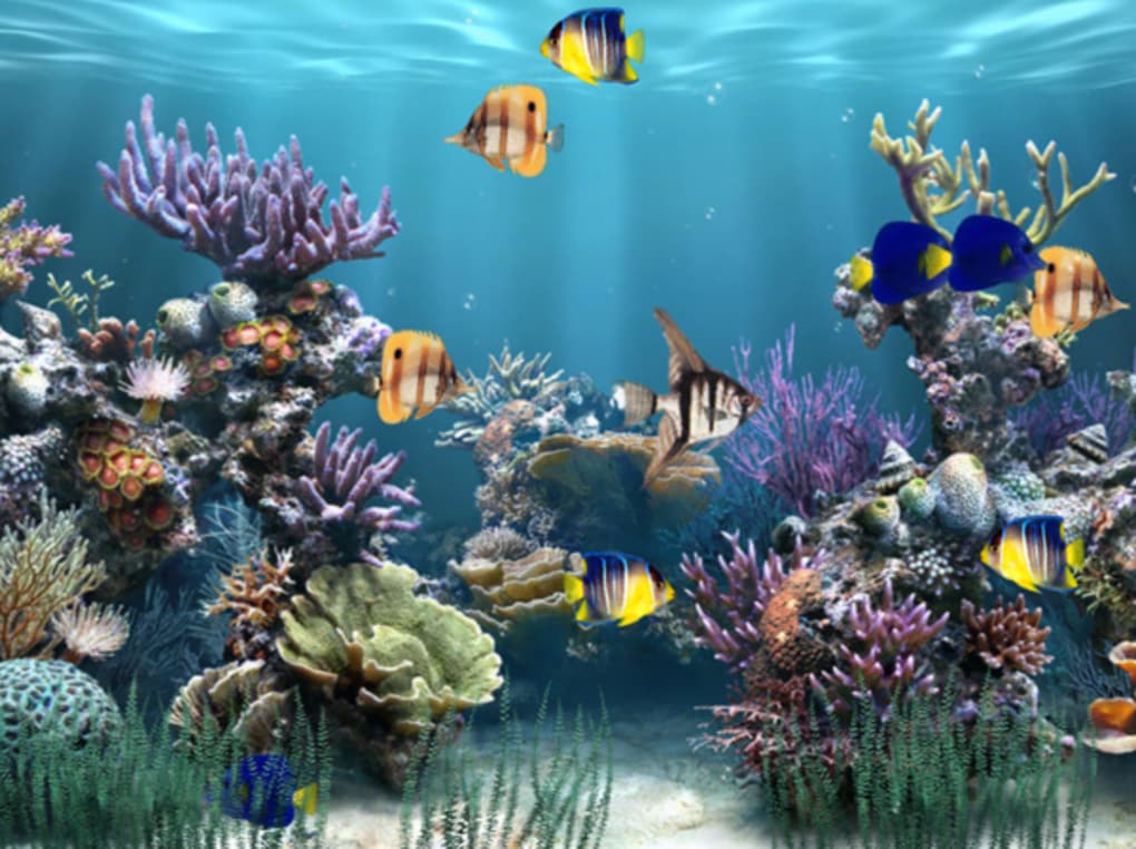 Aquarium Wallpapers