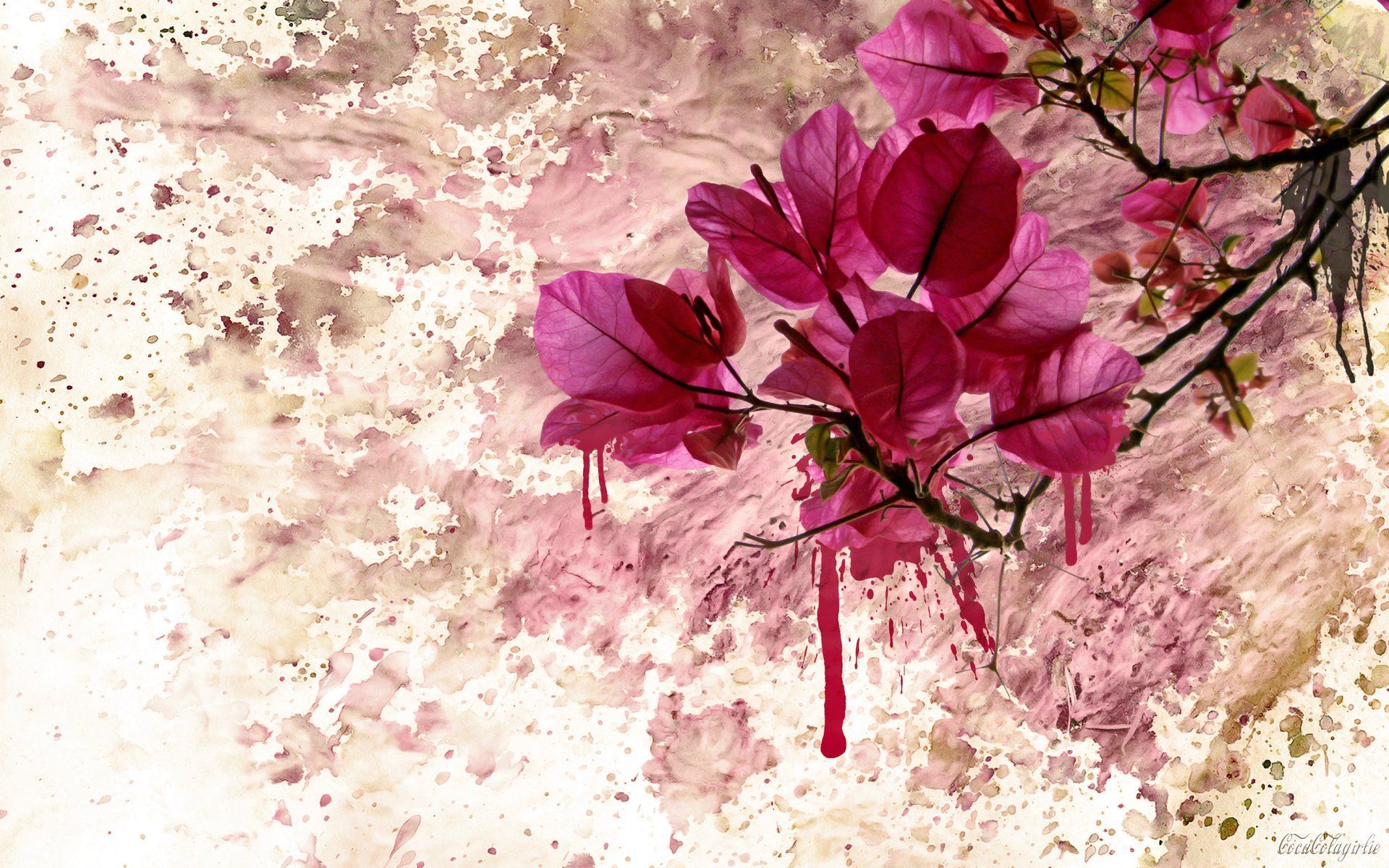 Artistic Flower Wallpapers