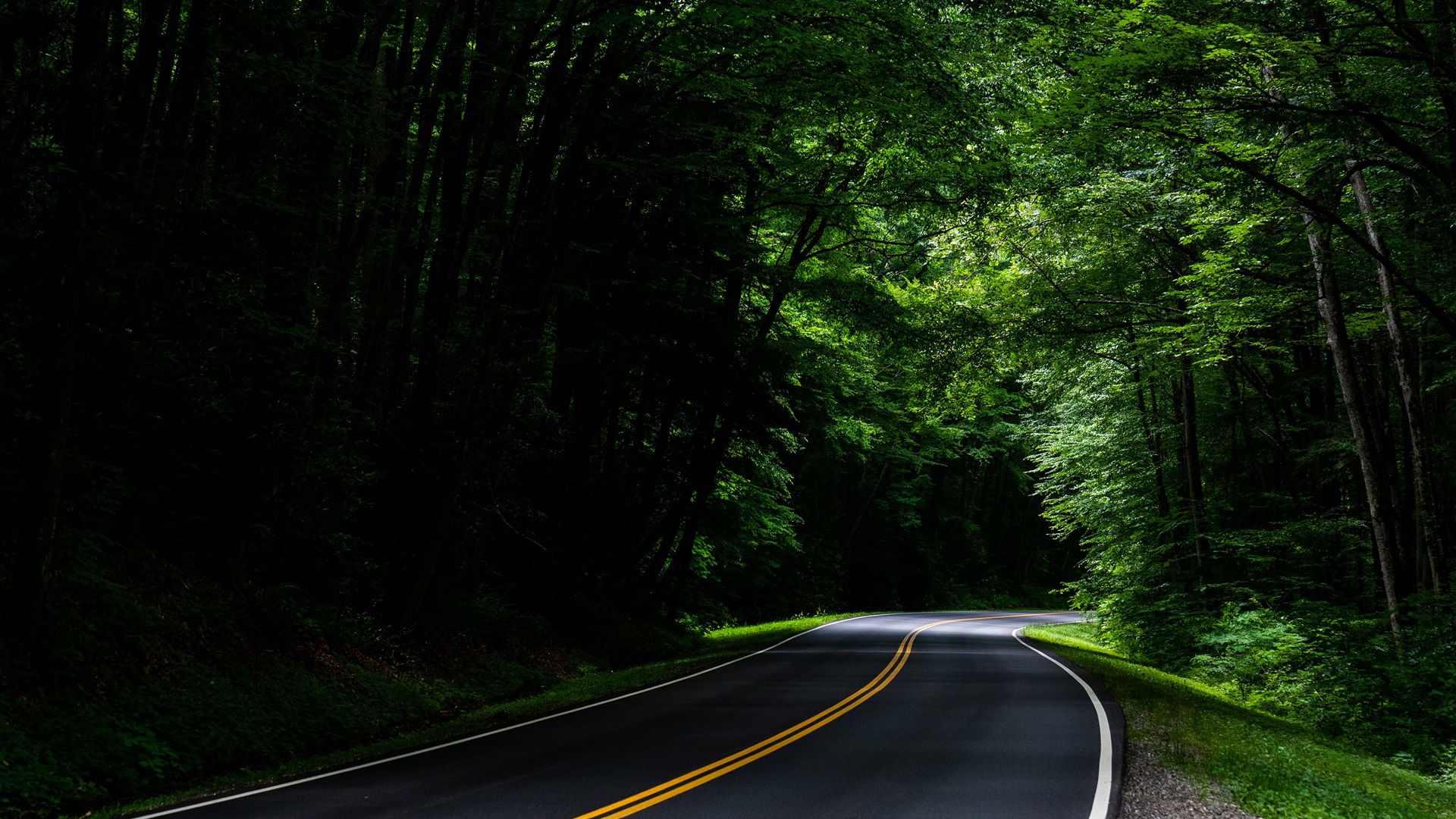 Asphalt Road Landscape Wallpapers