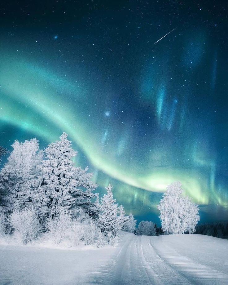 Aurora Borealis At Winter Wallpapers