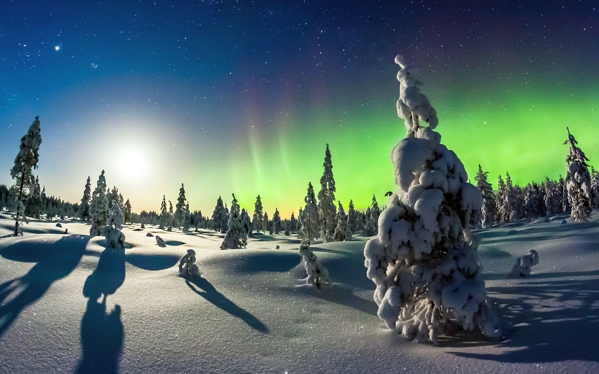 Aurora Borealis At Winter Wallpapers