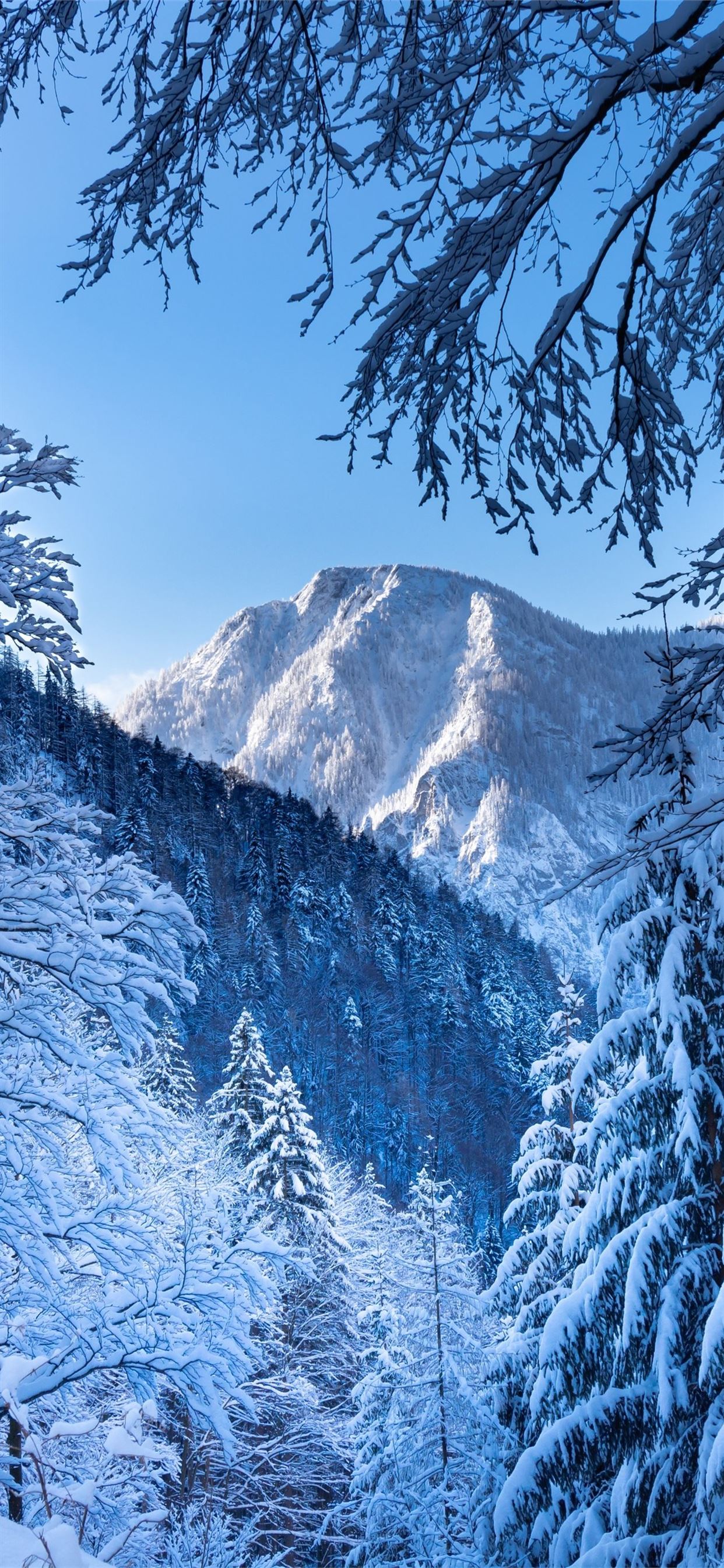 Austria Snow Alps Wallpapers