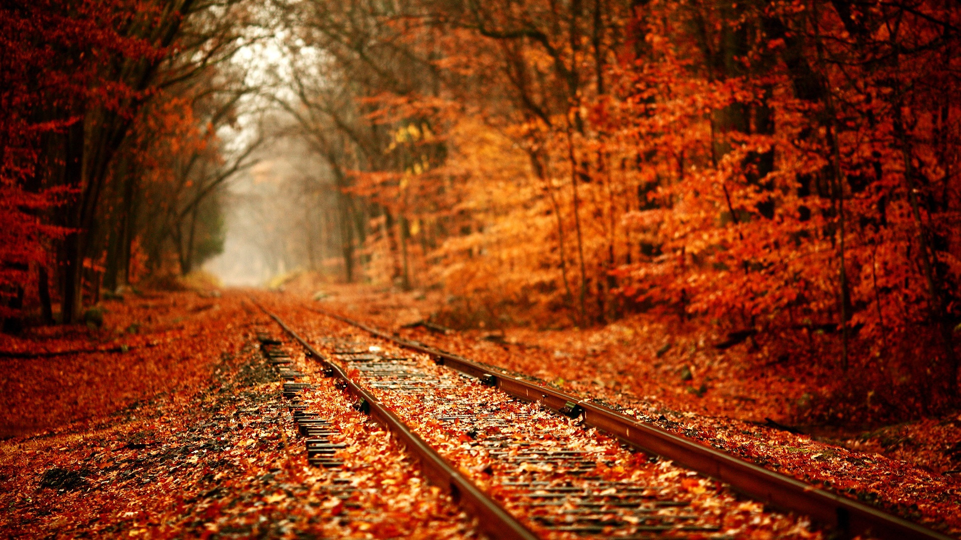 Autumn 1920X1080 Wallpapers