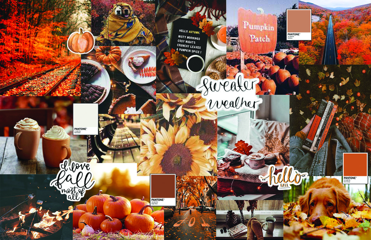 Autumn Aesthetic Laptop Wallpapers