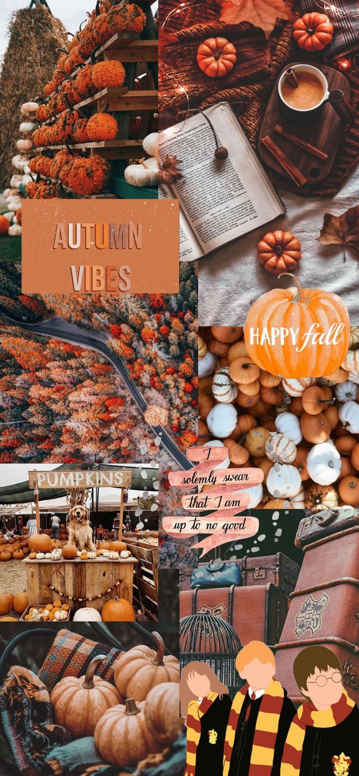 Autumn Aesthetic Laptop Wallpapers