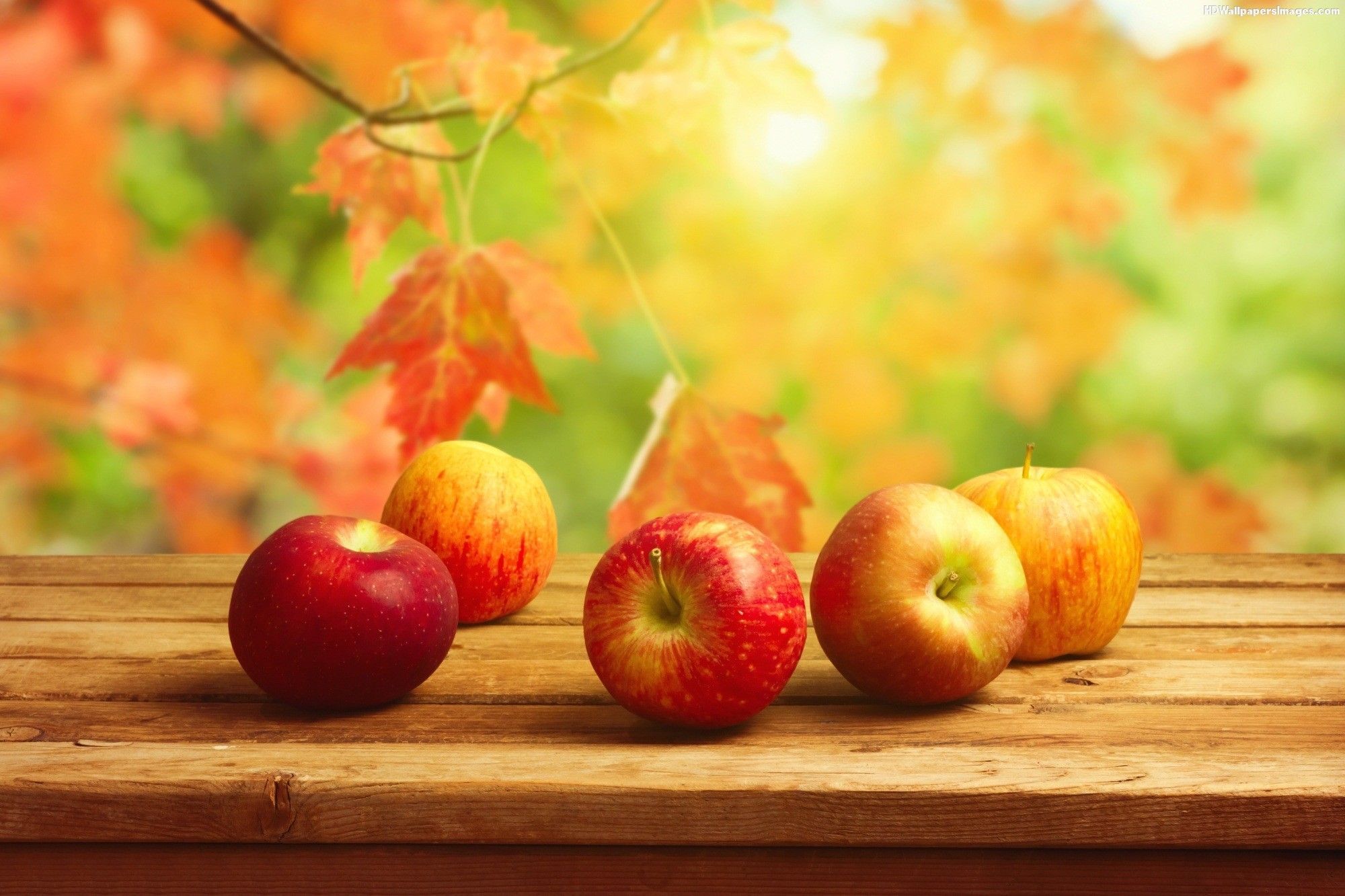 Autumn Apples Wallpapers
