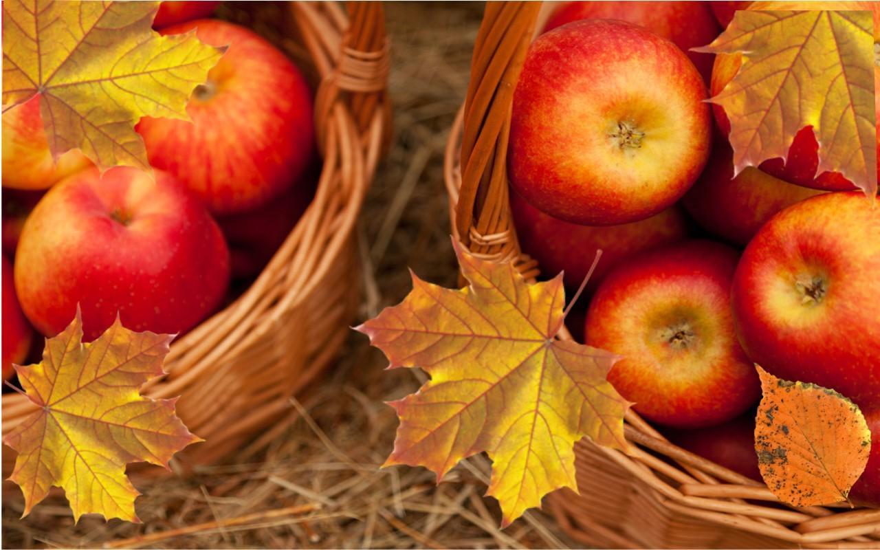 Autumn Apples Wallpapers