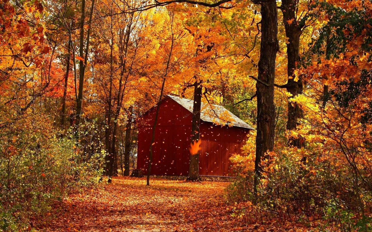 Autumn Barn Wallpapers