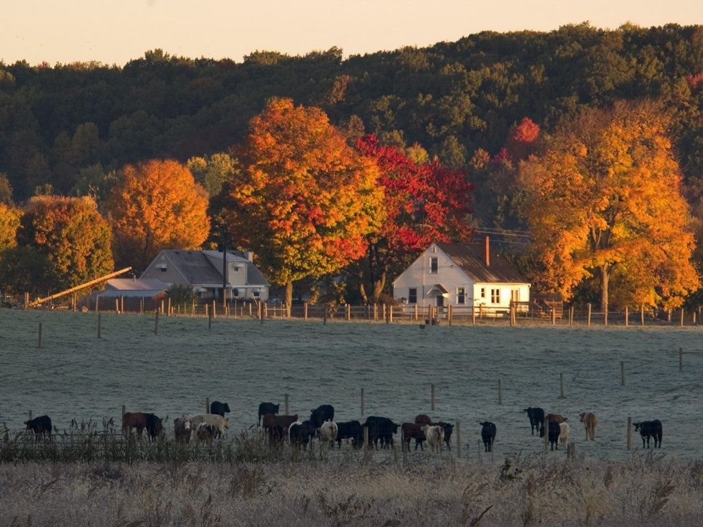 Autumn Barn Wallpapers