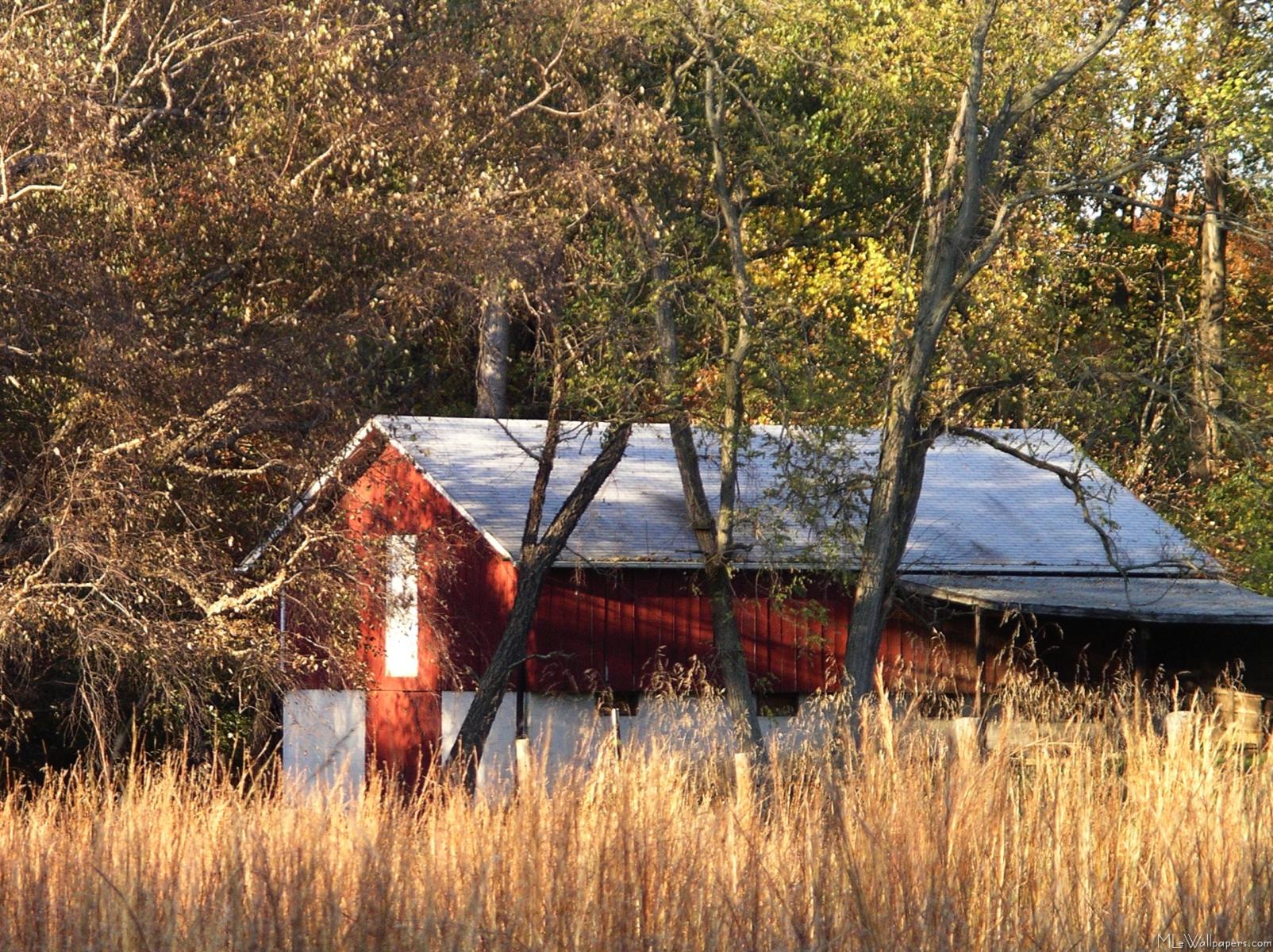 Autumn Barn Wallpapers