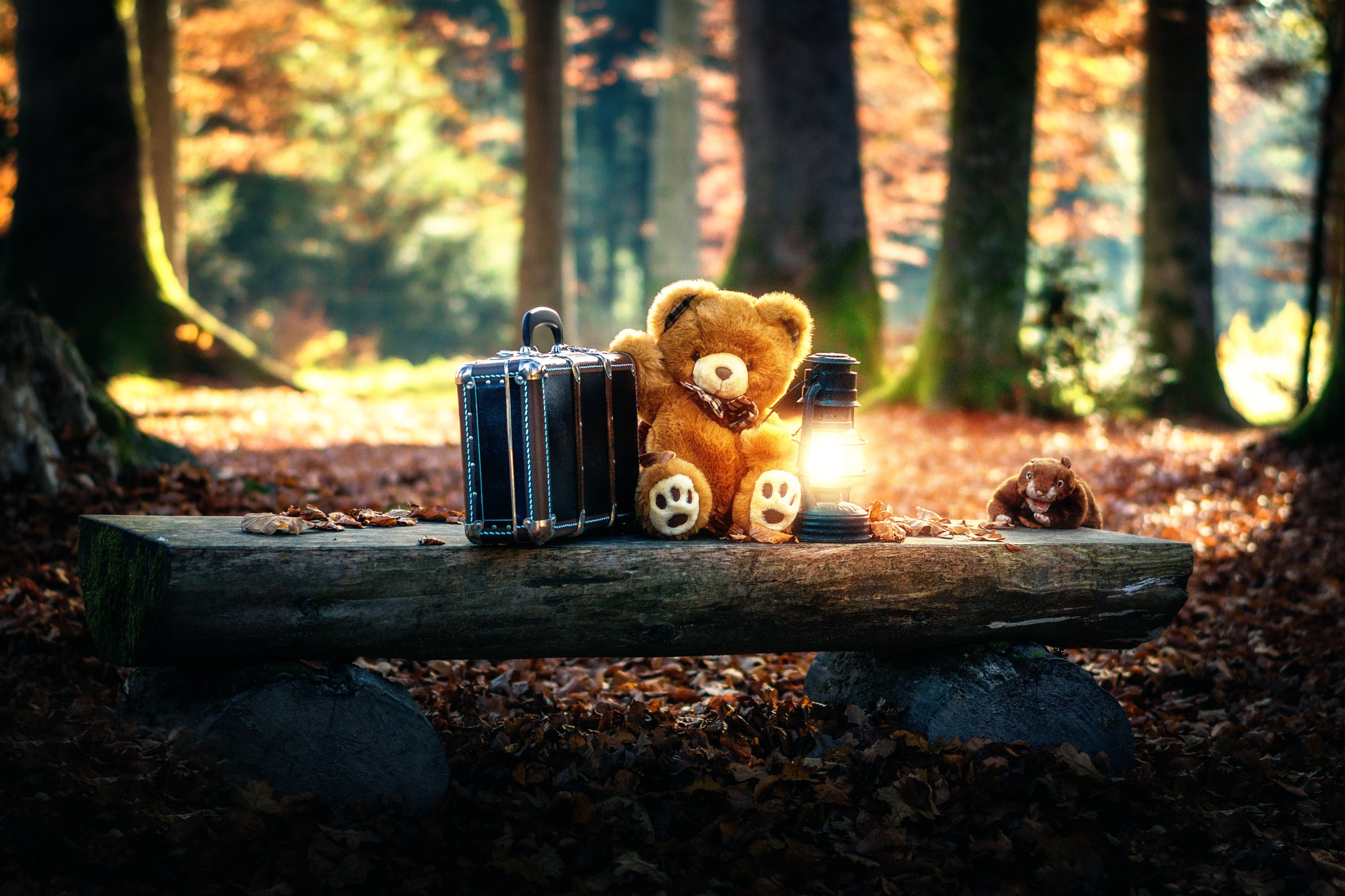 Autumn Bear Wallpapers