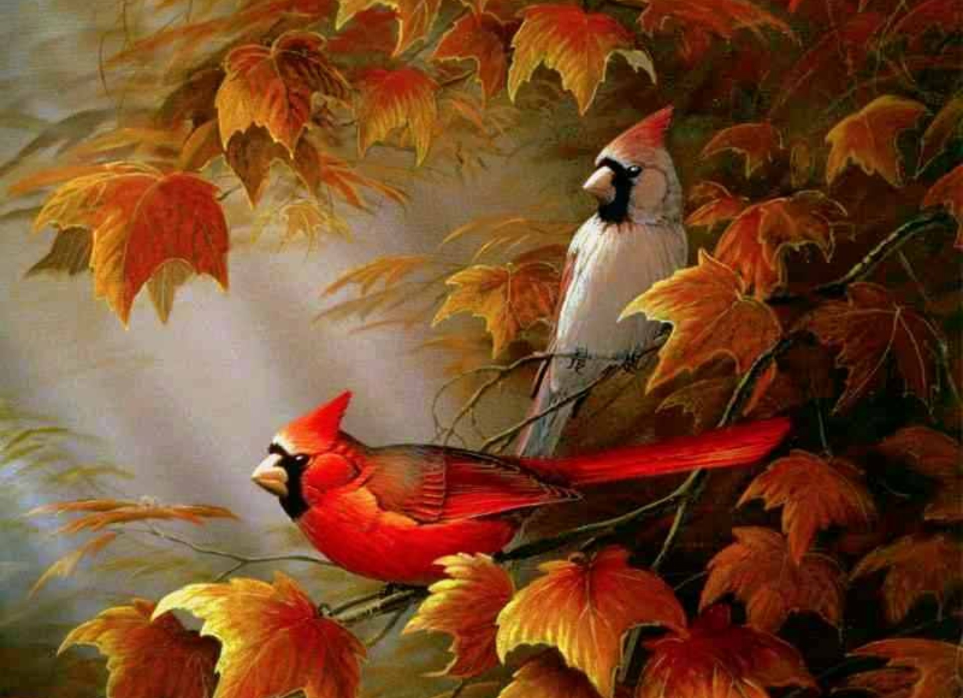 Autumn Birds Wallpapers