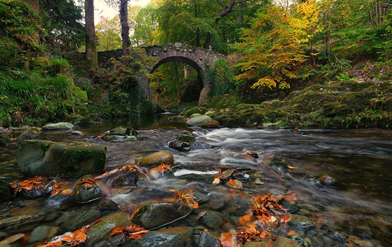 Autumn Bridge Wallpapers