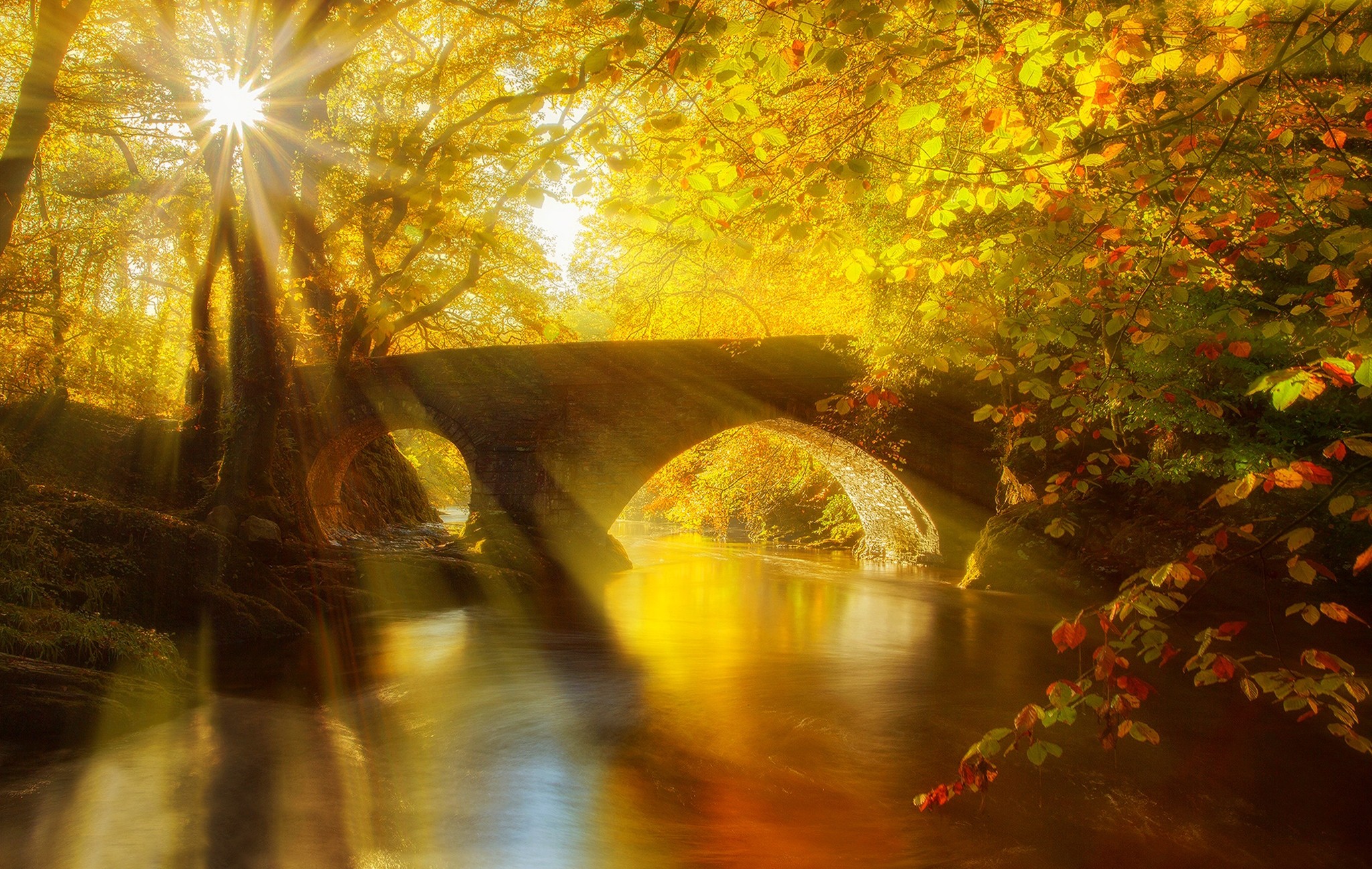 Autumn Bridge Wallpapers