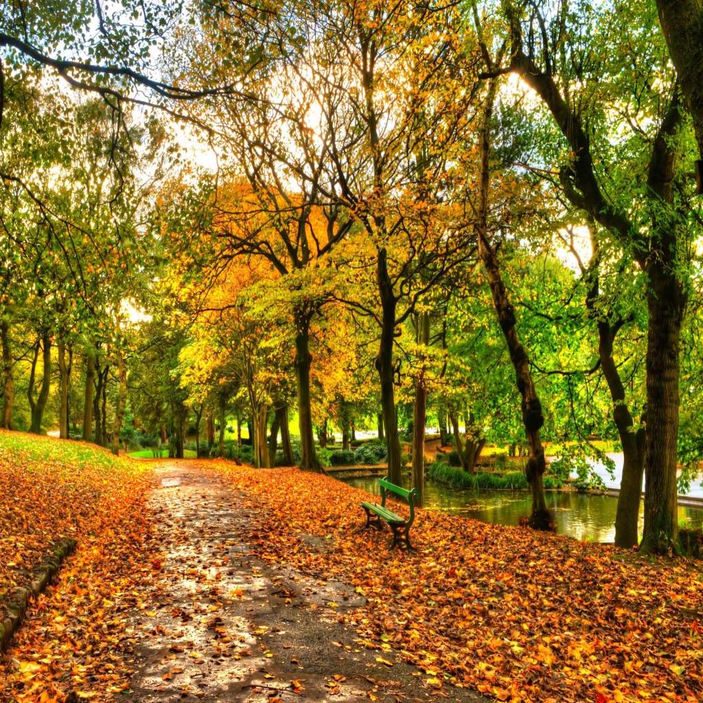 Autumn Central Park New York Wallpapers