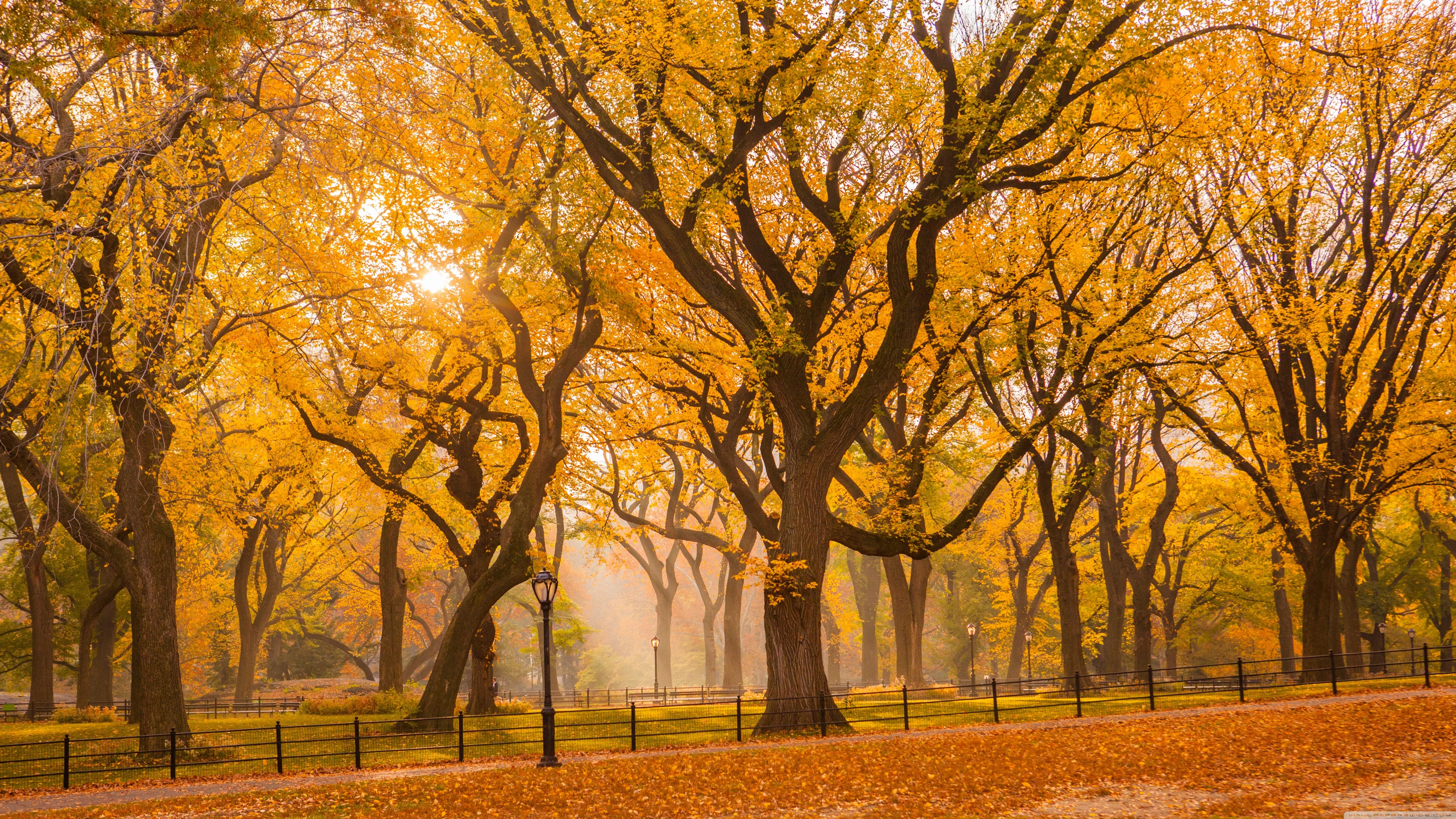 Autumn Central Park New York Wallpapers