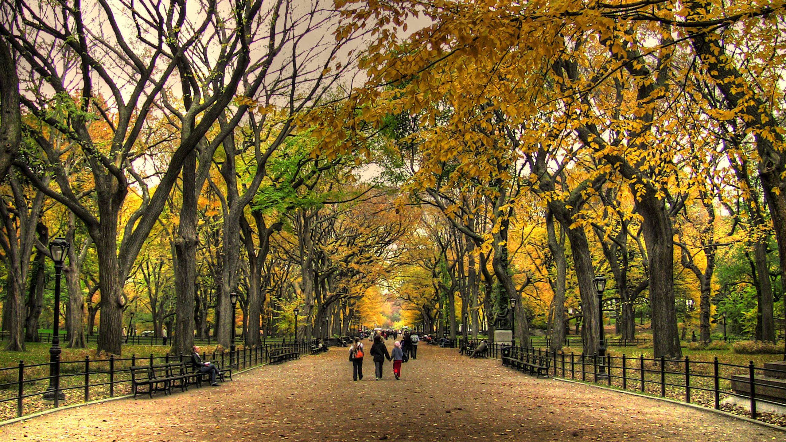 Autumn Central Park New York Wallpapers