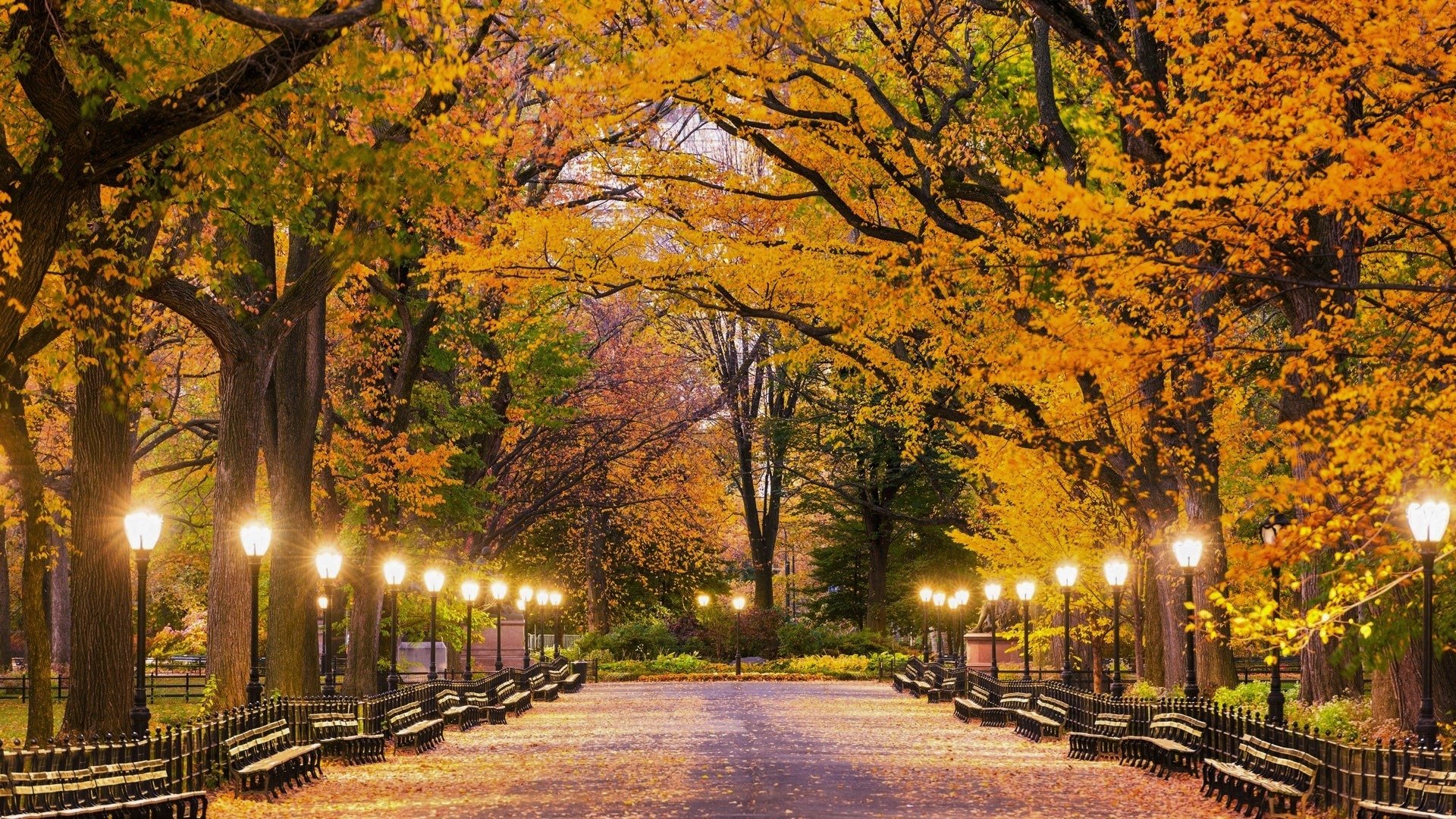 Autumn Central Park New York Wallpapers