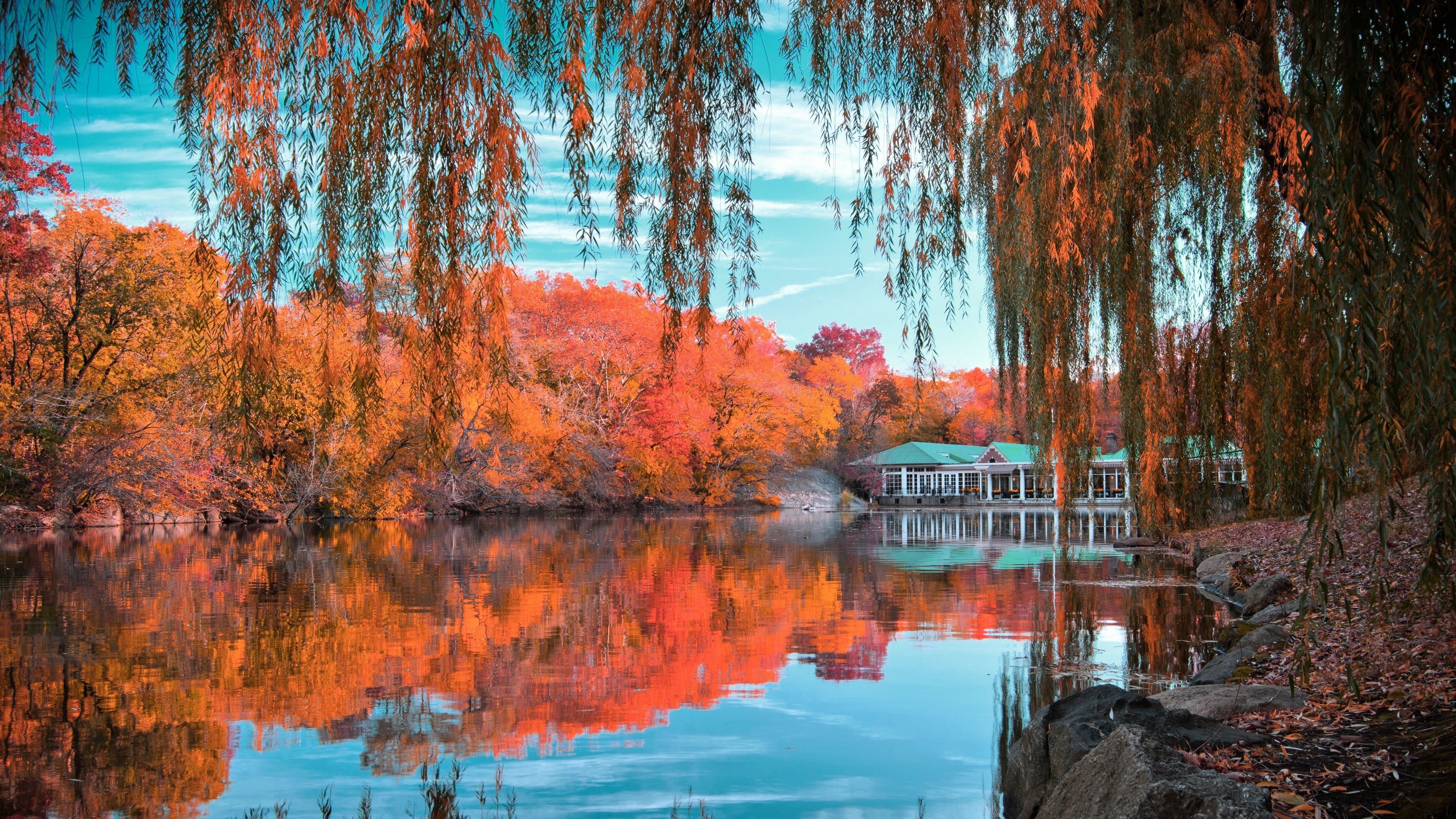 Autumn Central Park New York Wallpapers