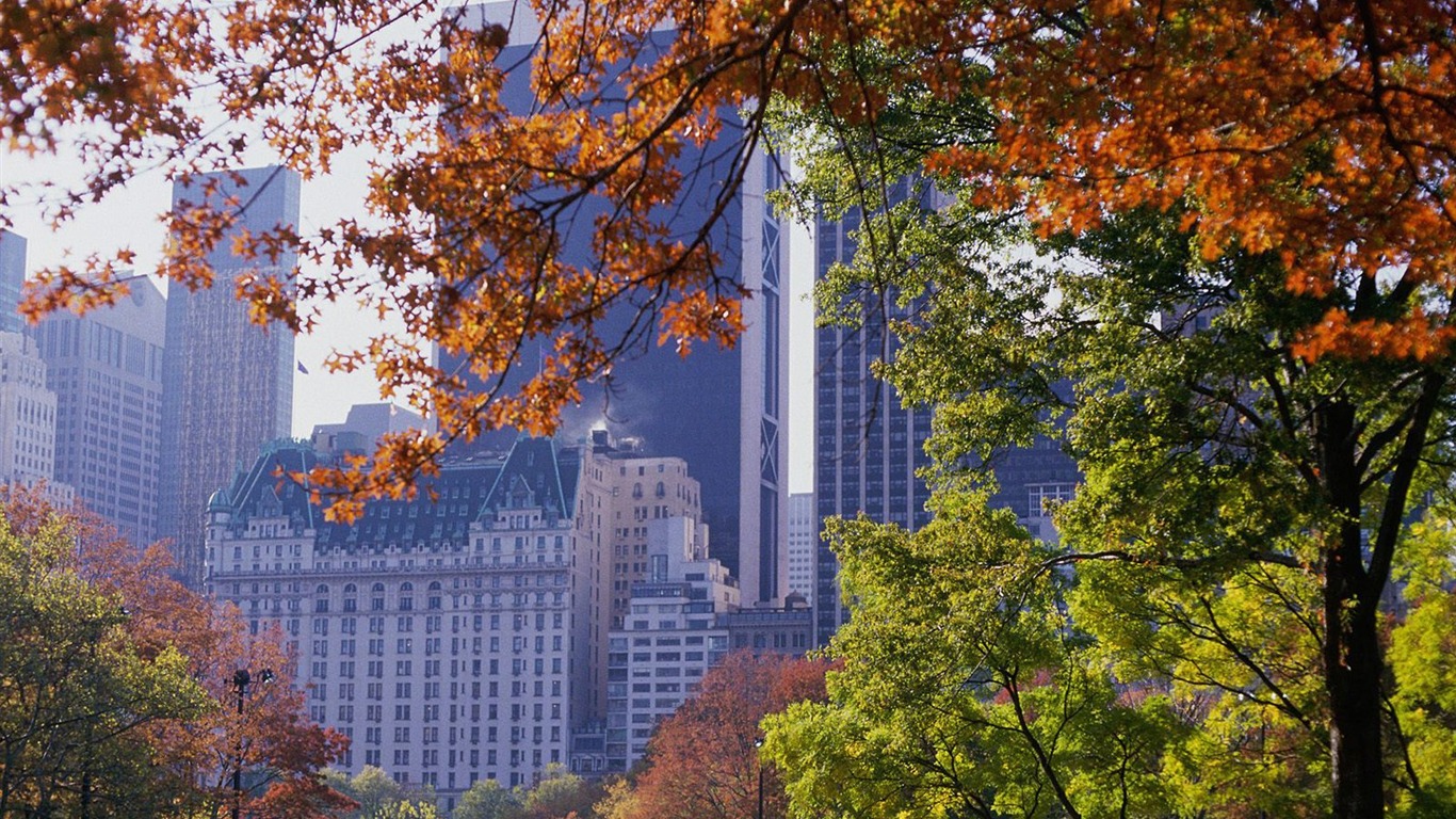 Autumn Central Park New York Wallpapers