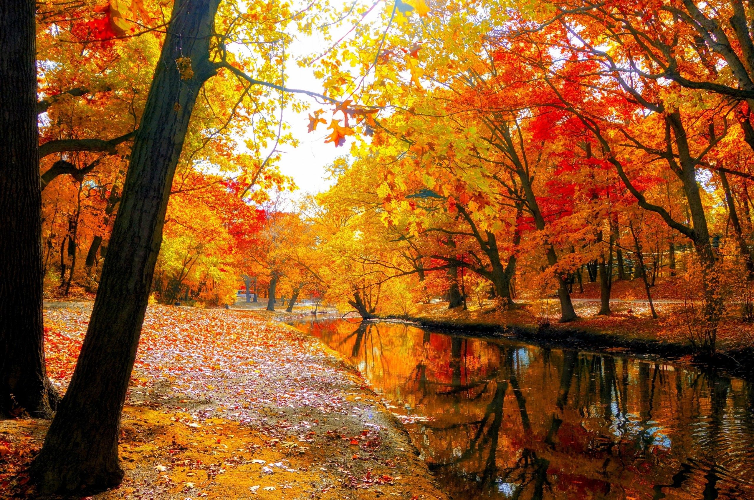 Autumn Chromebook Wallpapers