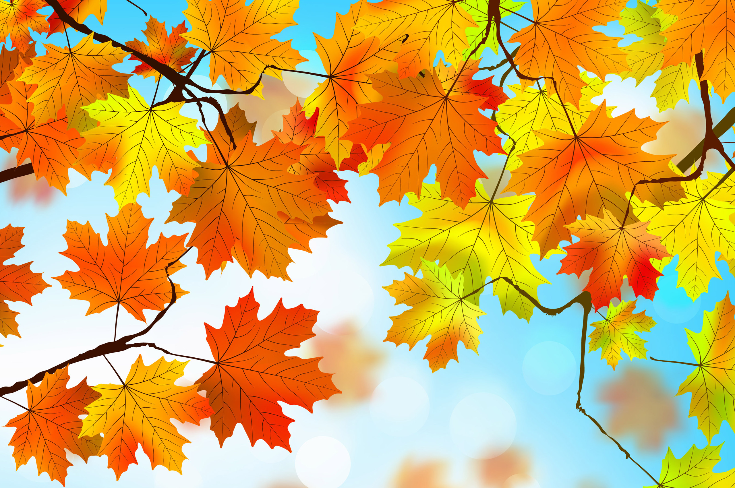 Autumn Chromebook Wallpapers