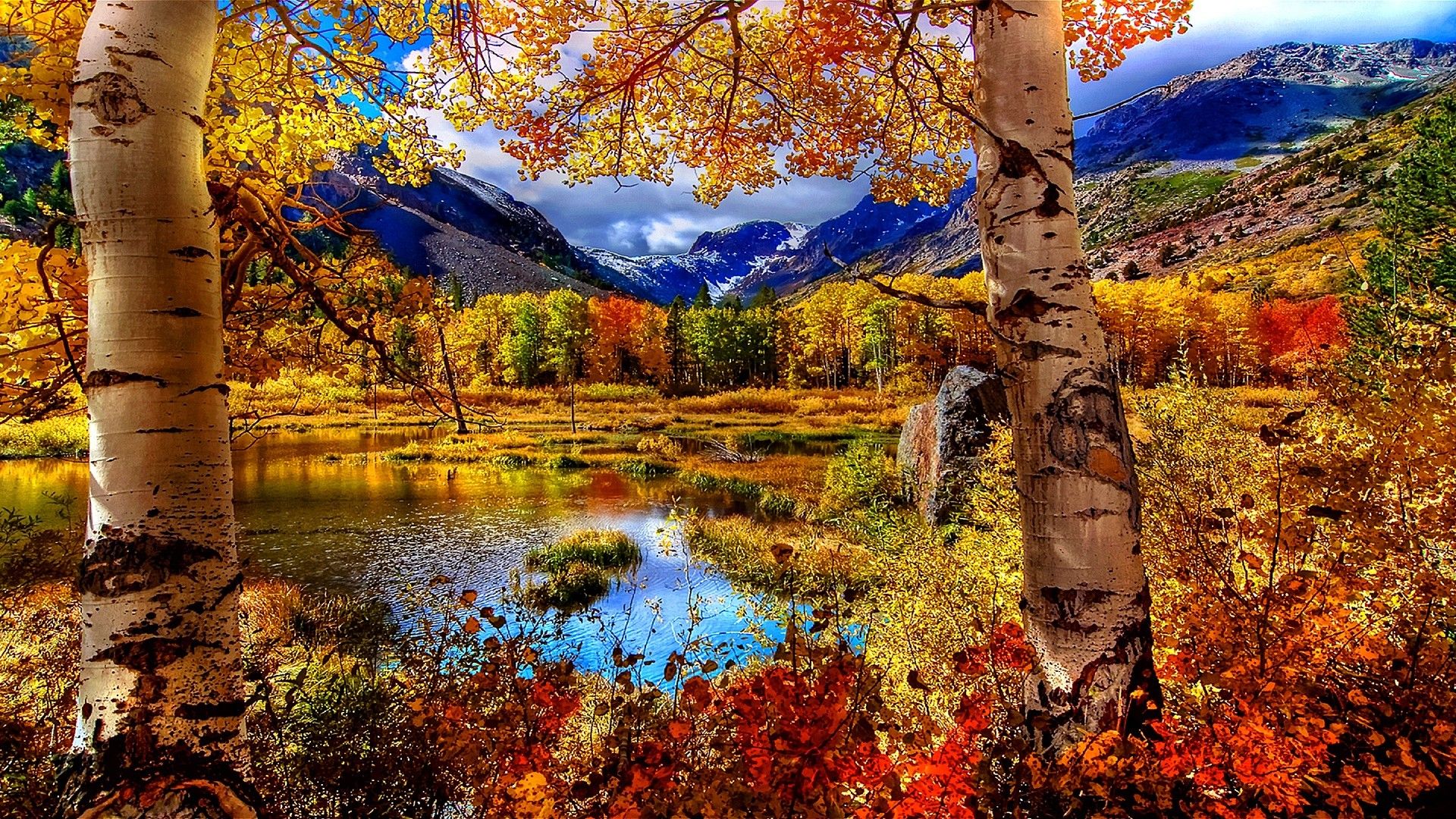 Autumn Chromebook Wallpapers