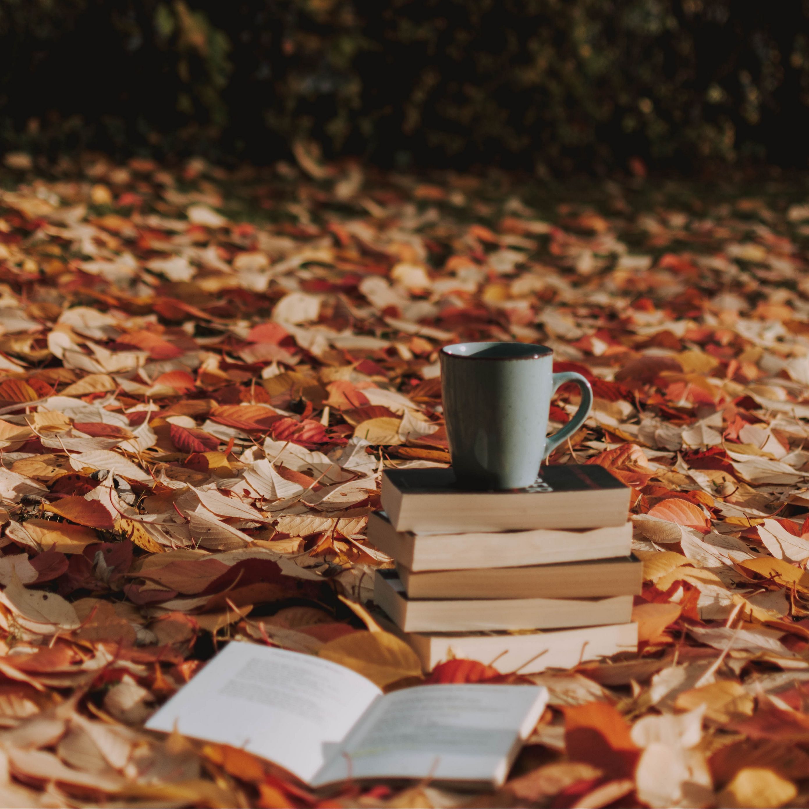 Autumn Coffee Books Wallpapers