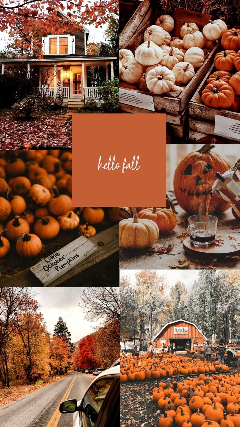 Autumn Collage Laptop Wallpapers